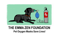 The Emma Zen Foundation