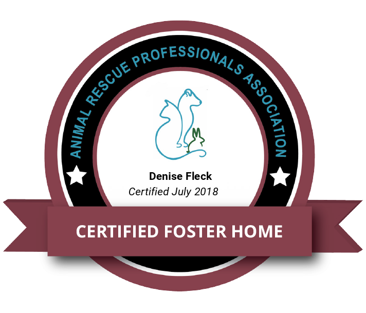 ARPA Certified Foster Home