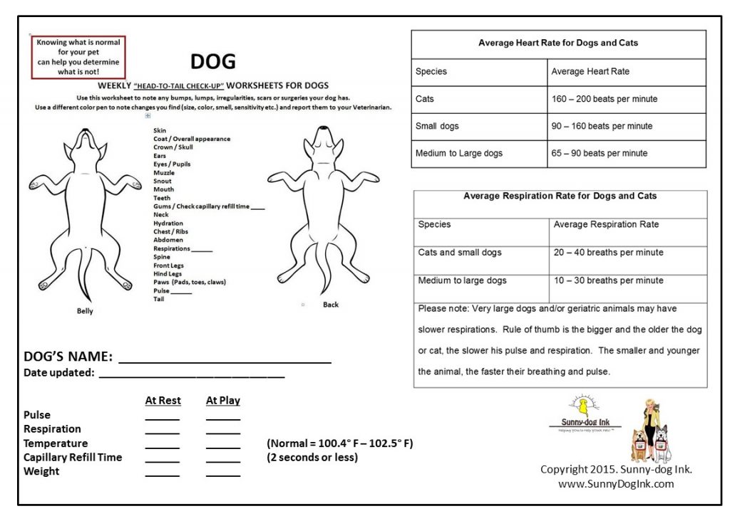 Head-to-Tail Check-Up – Pet Safety Crusader